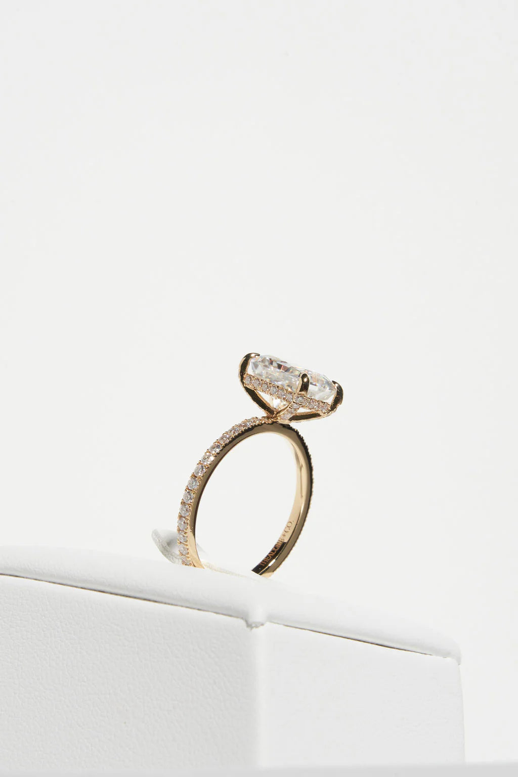Radiant Cut  Mossianite Pave Engagement Ring